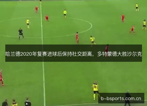 哈兰德2020年复赛进球后保持社交距离，多特蒙德大胜沙尔克